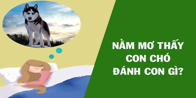 Nằm mơ thấy chó nên đánh số gì?